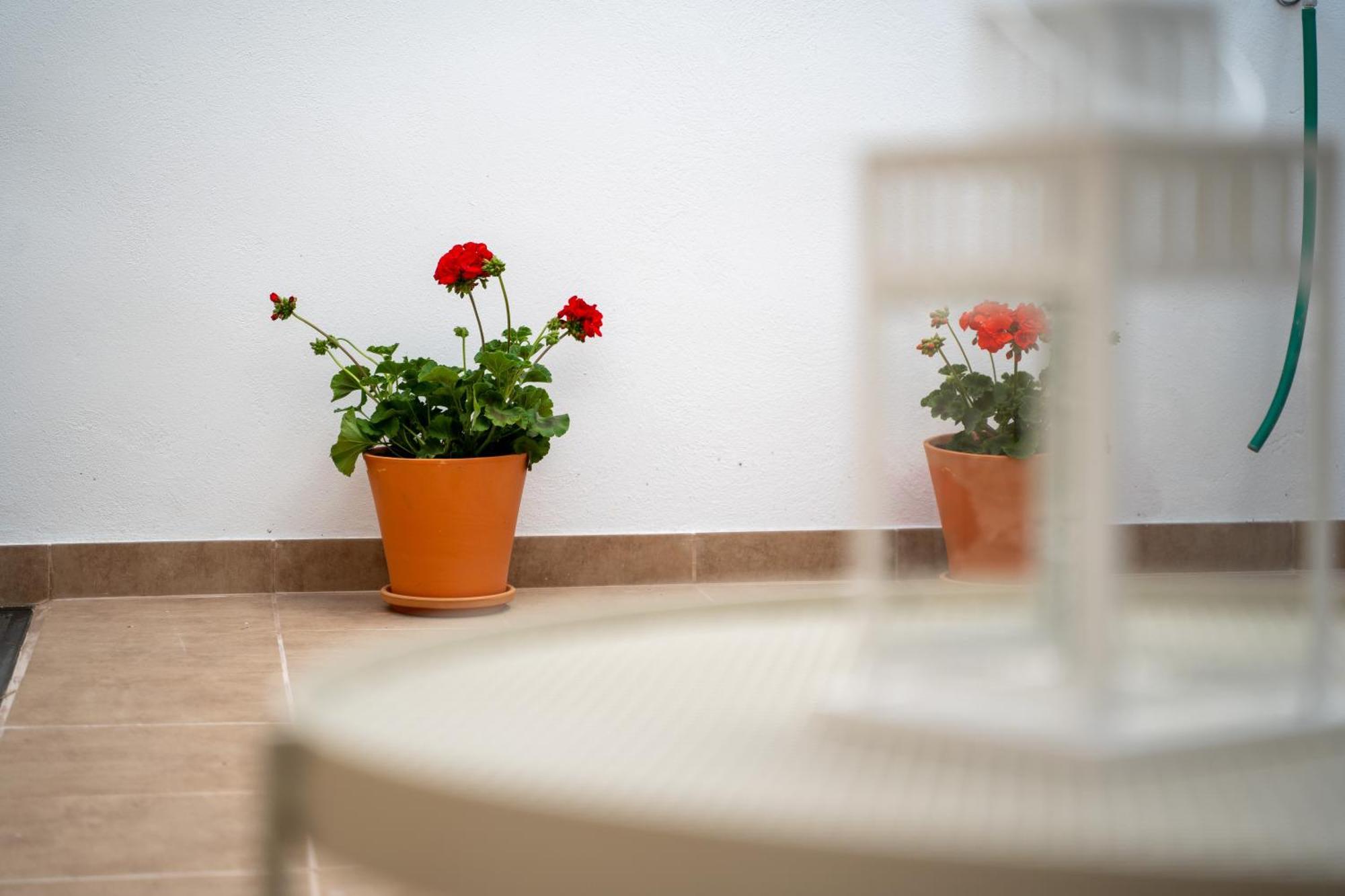 Apartamento El Secreto De Chirinos Úbeda Exterior foto